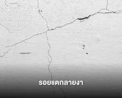 รับตรวจบ้าน, รับจ้างตรวจบ้าน, ตรวจคอนโด