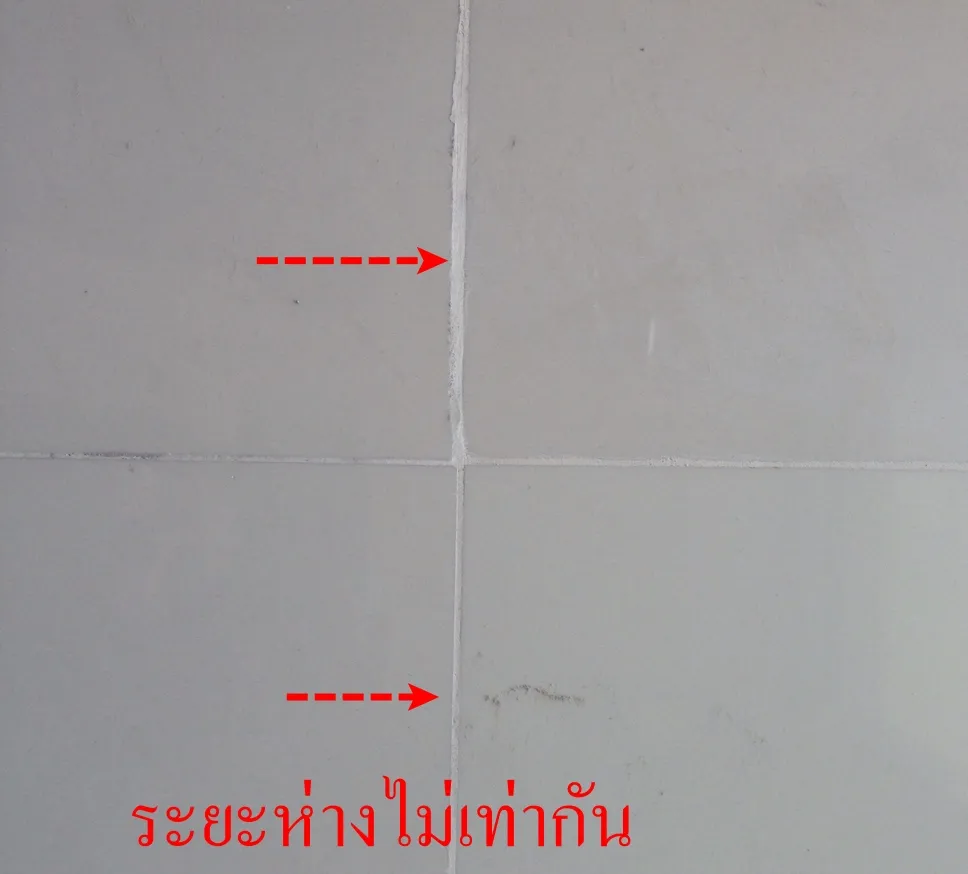 รับตรวจบ้าน, ตรวจคอนโด, รับจ้างตรวจบ้าน