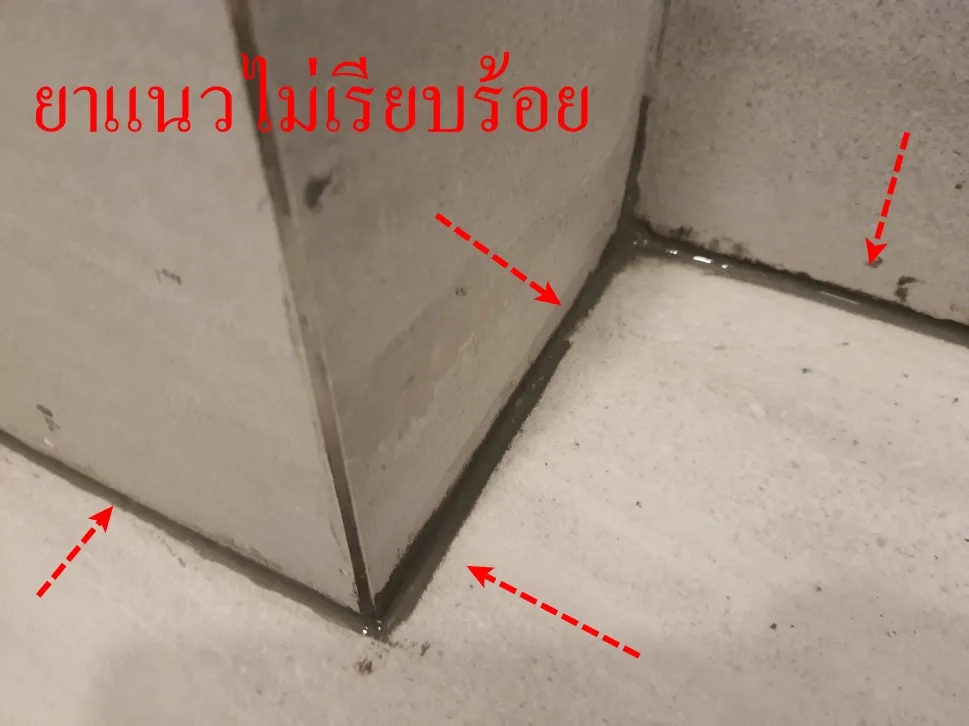 รับตรวจบ้าน, ตรวจคอนโด, รับจ้างตรวจบ้าน